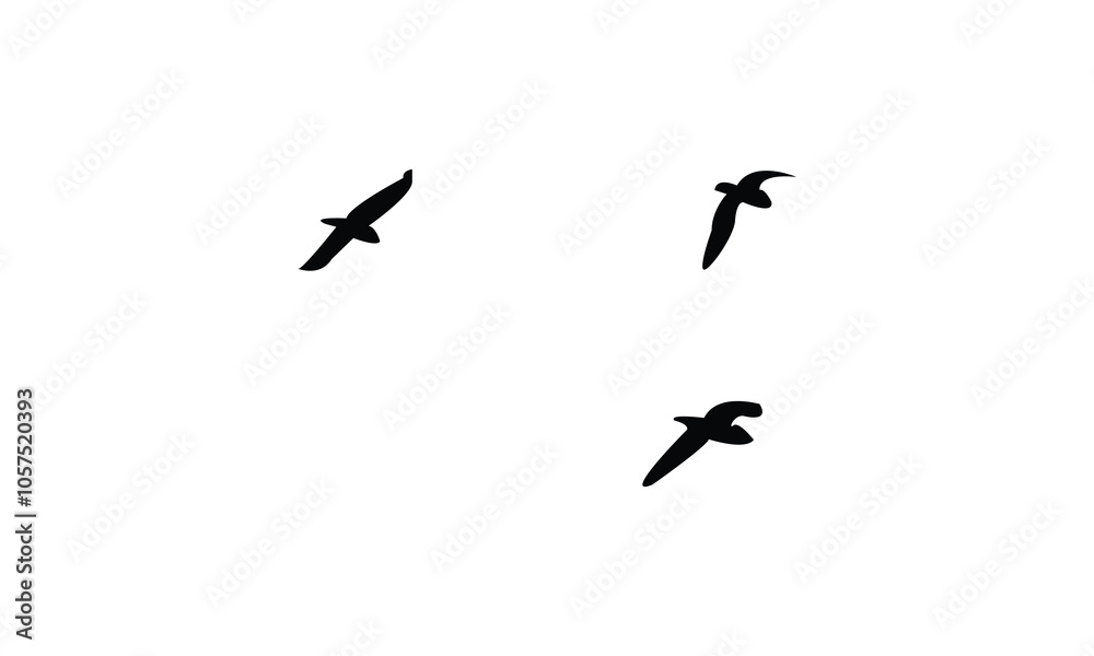 Fototapeta premium Birds Are Flying Silhouette Design. 