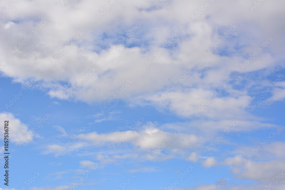 Fototapeta premium a sky with clouds and a bird flying in the sky 