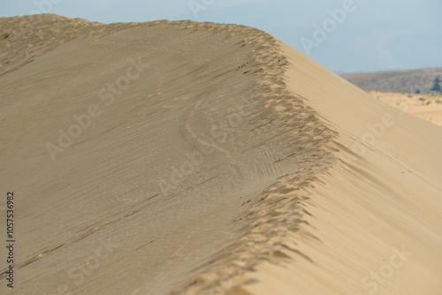 Fototapeta Naklejka Na Ścianę i Meble -  Golden desert dunes illuminated by sunbeams under a dramatic sky