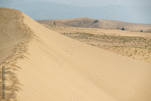 Fototapeta Naklejka Na Ścianę i Meble -  Golden desert dunes illuminated by sunbeams under a dramatic sky
