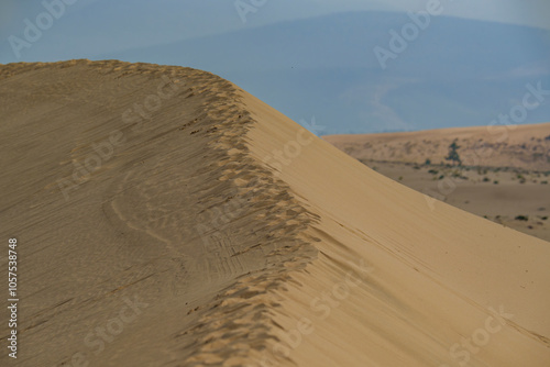 Fototapeta Naklejka Na Ścianę i Meble -  Golden desert dunes illuminated by sunbeams under a dramatic sky