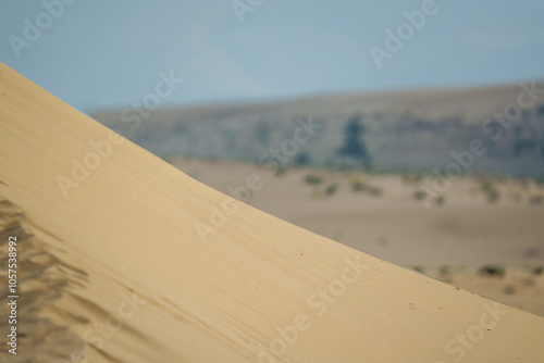 Fototapeta Naklejka Na Ścianę i Meble -  Golden desert dunes illuminated by sunbeams under a dramatic sky