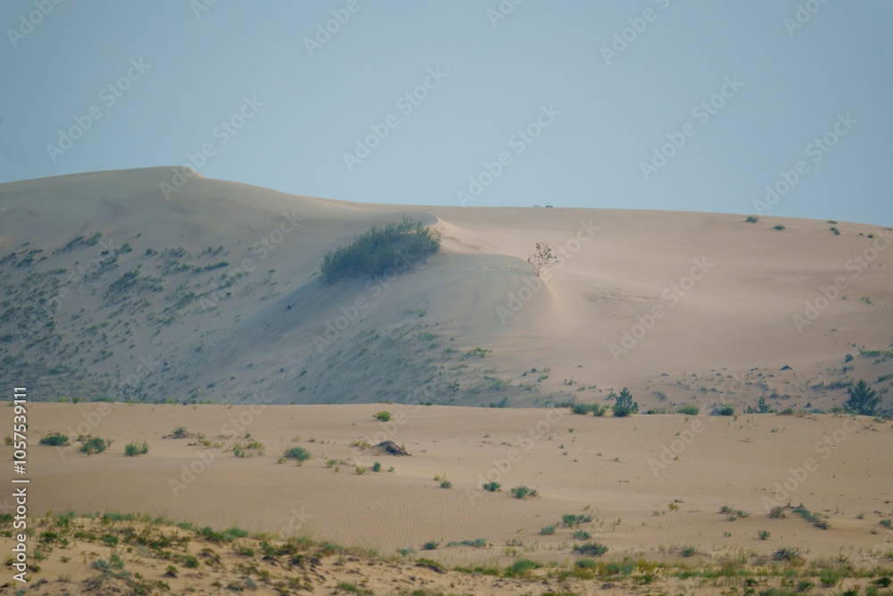 Golden desert dunes illuminated by sunbeams under a dramatic sky Golden desert dunes illuminated by sunbeams under a dramatic sky