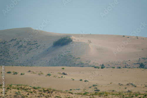 Fototapeta Naklejka Na Ścianę i Meble -  Golden desert dunes illuminated by sunbeams under a dramatic sky