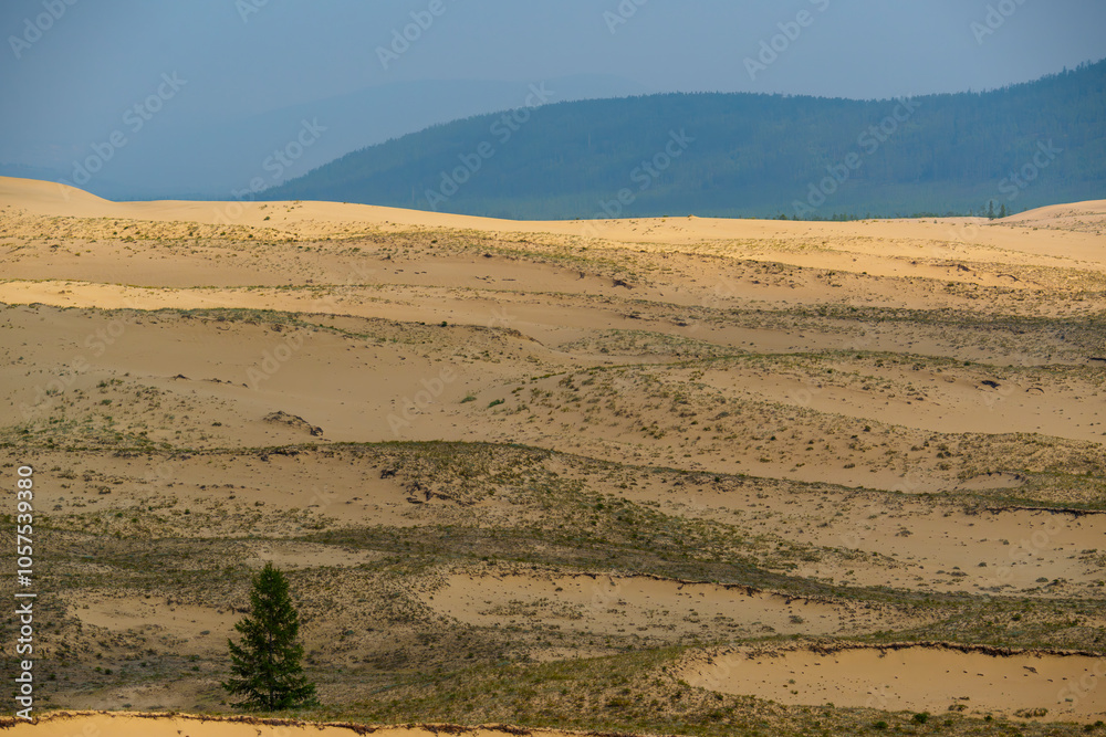 Naklejka premium View of a sandy plateau surrounded by forest and mountains
