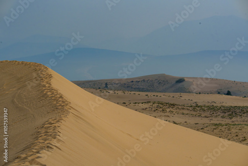 Fototapeta Naklejka Na Ścianę i Meble -  Golden desert dunes illuminated by sunbeams under a dramatic sky