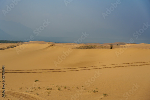 Fototapeta Naklejka Na Ścianę i Meble -  Golden desert dunes illuminated by sunbeams under a dramatic sky