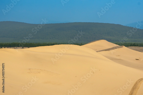 Fototapeta Naklejka Na Ścianę i Meble -  Golden desert dunes illuminated by sunbeams under a dramatic sky
