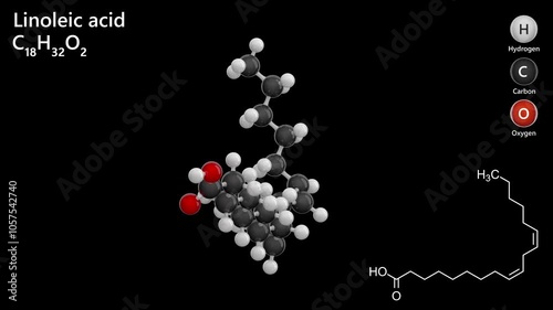 Linoleic Acid. Polyunsaturated fatty acid. Animated 3D model of a molecule. Molecular formula: C18H32O2. Chemical model: Ball and stick. Black background. 3D rendering. Seamless loop.