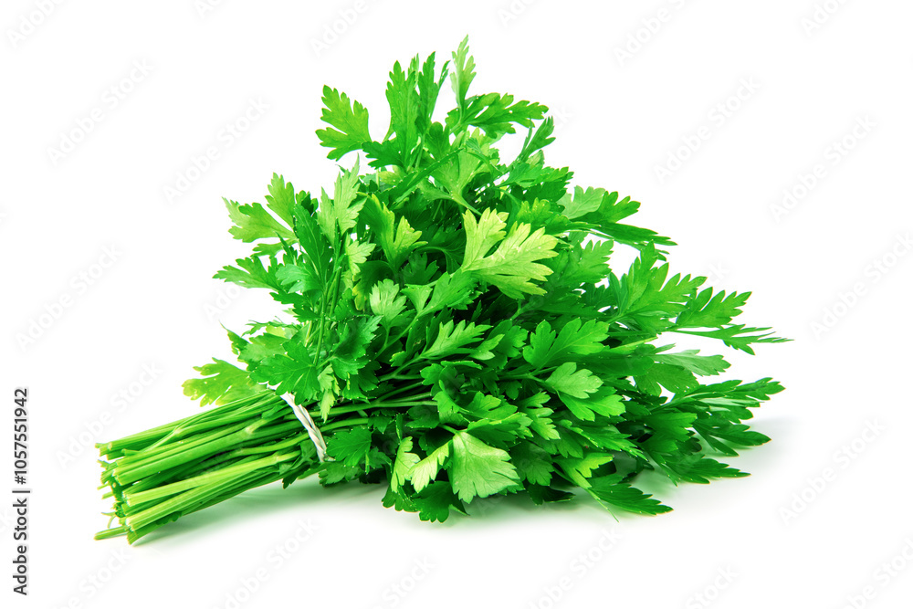 Fresh green parsley bunch on white background. Fresh green parsley bunch on white background.