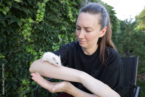 Woman playing with a hamster photo