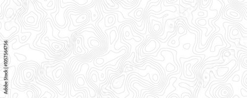 Abstract Seamless Contour Lines, Minimal Topographic Pattern for Elegant Designs
