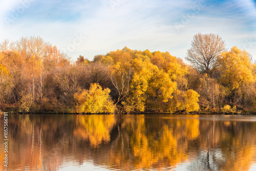 Autumn trees on the lake. Autumn landscape with reflection of trees in water