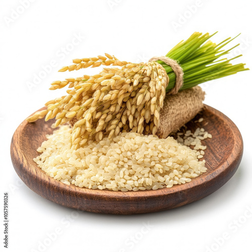 Paddy Isolated