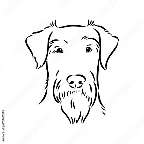 Dog . Vector silhouette of dog. Irish terrier, vector sketch