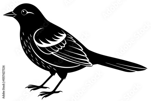 Elegant Bird Silhouettes Vector Illustrations on White Background photo