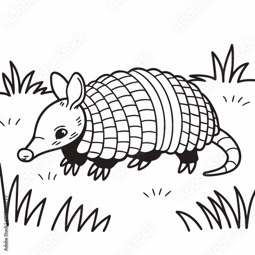 Vibrant Armadillo Vector
