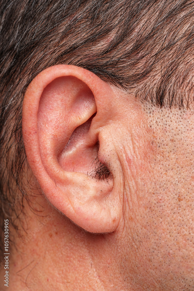 View of a human ear showcasing intricate details of skin texture View of a human ear showcasing intricate details of skin texture