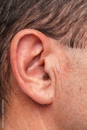 View of a human ear showcasing intricate details of skin texture photo