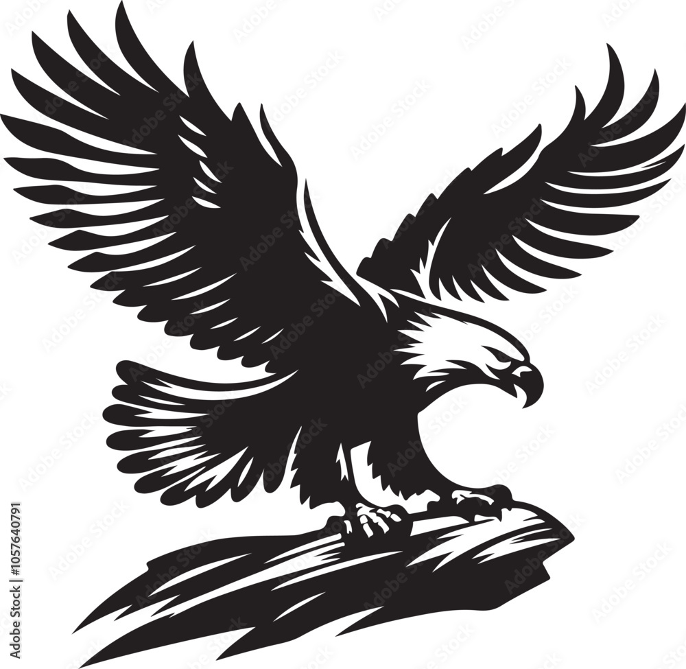 Obraz premium eagle in flight