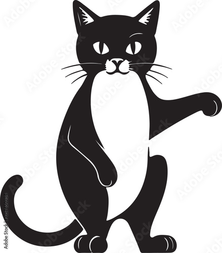 black and white cat