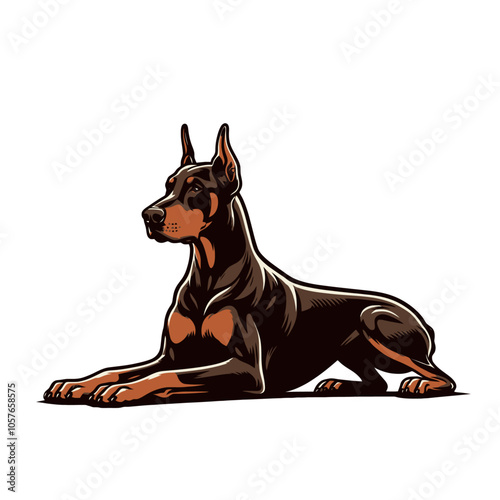Doberman pincher breed dog. Isolated vector illustration	