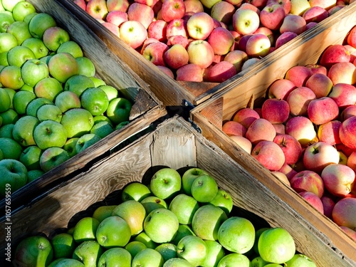 A food concept photo of green and red apples in large wooden crates in eastern Washington.