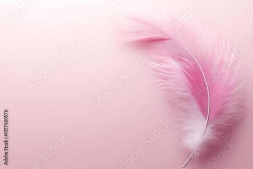 Pink feather Isolated on a pink background