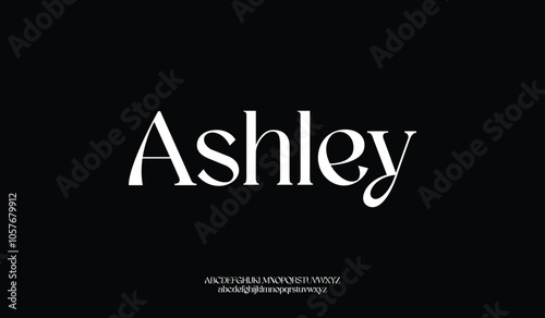 Classic elegant font set vector illustration design of font set.
