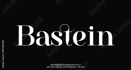 Elegant alphabet letters font and number. Classic Lettering Minimal Fashion. Typography modern serif fonts decorative logo vintage wedding concept. vector illustration
