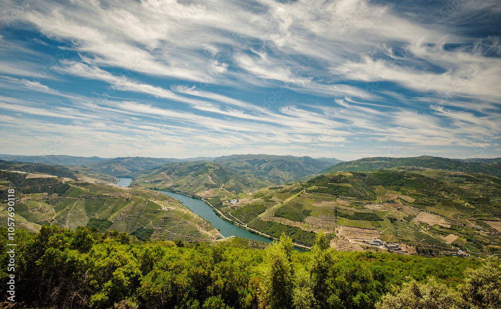 Naklejka premium Paisagem do Rio Douro, Portugal
