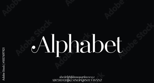 Elegant minimalist alphabet display font vector. Luxury and feminine typeface.