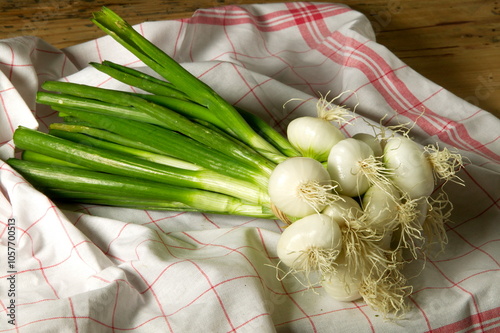 Oignons blancs dans torchon