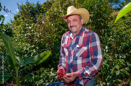 farmer in a field of coffee