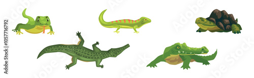 Wild Reptiles and Amphibian Animals Colorful Vector Set