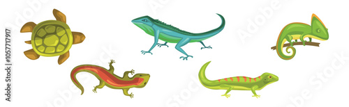Wild Reptiles and Amphibian Animals Colorful Vector Set