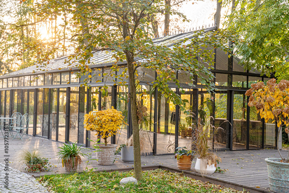 Naklejka premium oranżeria, ogród zimowy, szklarnia, jesień, liście