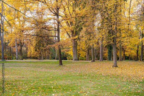 park jesień, jesienne wrzosy , dynie , dekoracje,  schody pałacowe