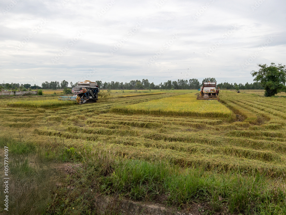 The double rice harvester machines. The double rice harvester machines.