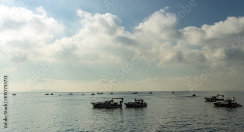 A serene moment on Istanbul's Bosphorus with a group of fishing boats anchored, silhouetted against a hazy sky. The boats, with their simple design, speak of the region's enduring fishing tradition.