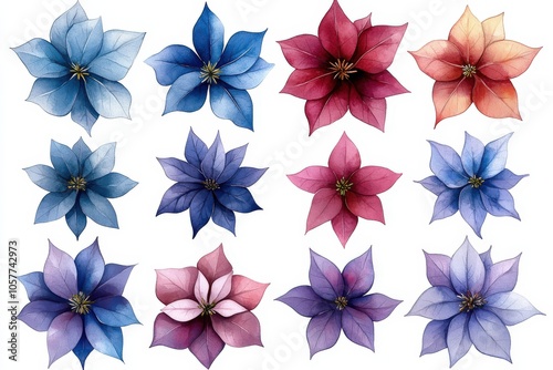 A collection of beautifully illustrated flowers in various colors and styles.