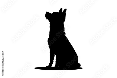 Silhouette of a shiba dog sitting looking up, black and white vector illustration