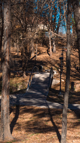 Puente en el bosque photo