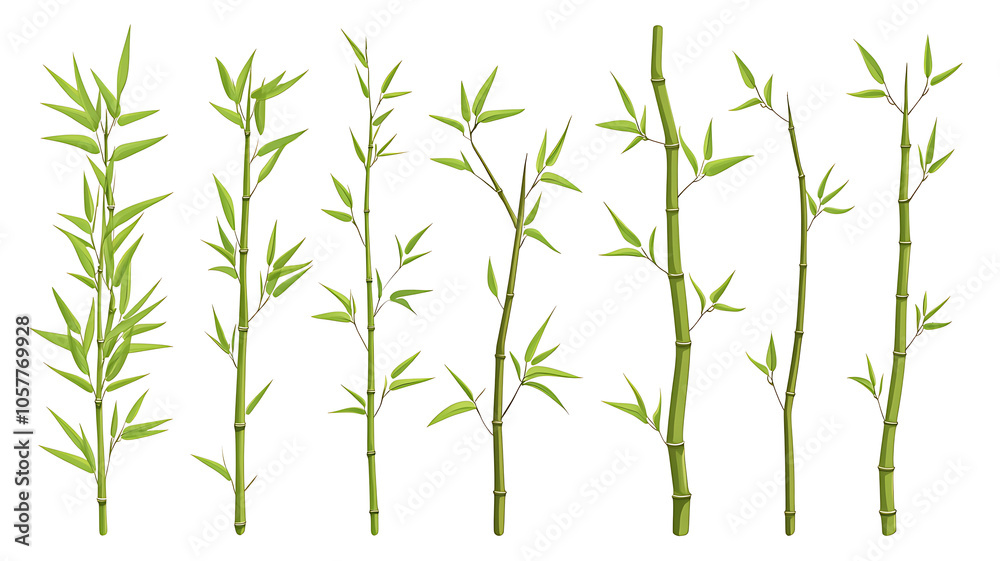 Obraz premium Green Bamboo Sticks with Leaves Isolated on White Background 
