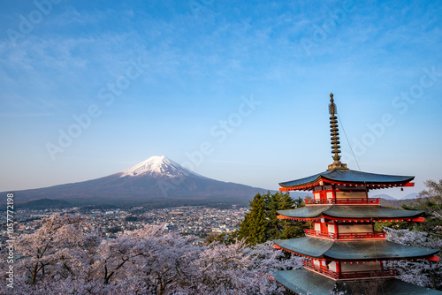 新倉山公園から望む富士山と満開のソメイヨシノ　山梨県富士吉田市