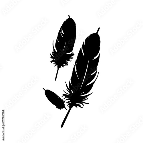 Vector of black feather on white background