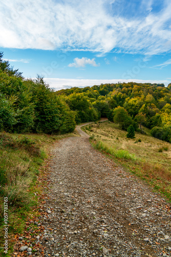 Fototapeta Naklejka Na Ścianę i Meble -  Autumn in Beskidy Mountains