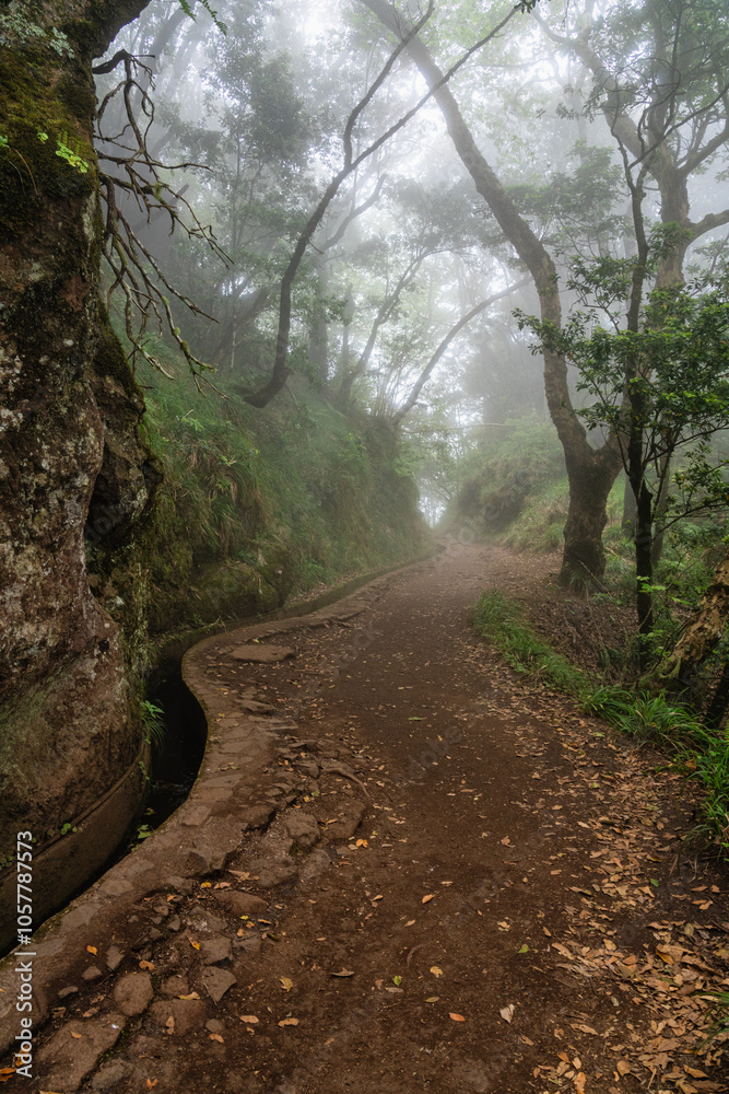 Obraz premium The beautiful trail PR11 Levada dos Balcoes in Madeira, with a foggy and dreamy weather. Portugal.