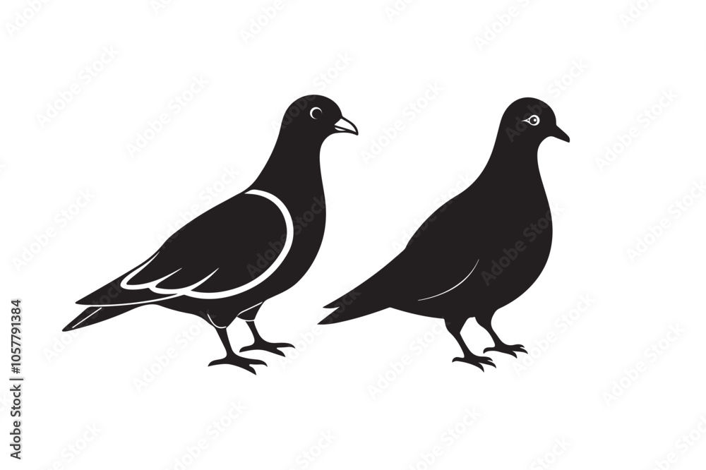 Mourning Dove Silhouette vector bundle, Mourning Dove Silhouette, Mourning Dove Silhouette Bundle Mourning Dove Silhouette vector bundle, Mourning Dove Silhouette, Mourning Dove Silhouette Bundle