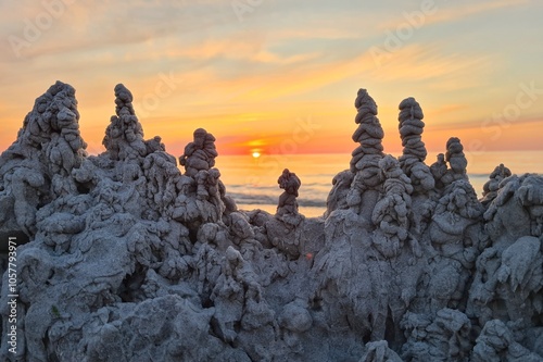 Beautiful sunset with red clouds behind snow covered trees